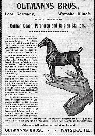 Oltmanns Brothers Horse Ad
